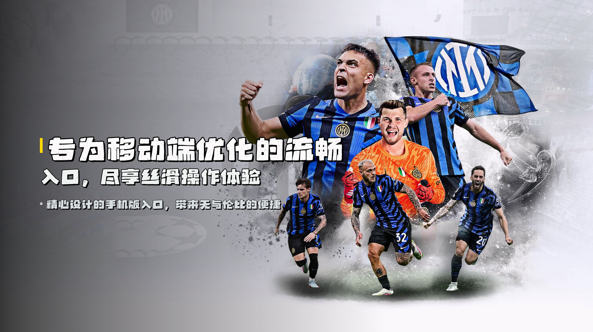 专为移动端优化的<strong>流畅入口</strong>，尽享丝滑操作体验